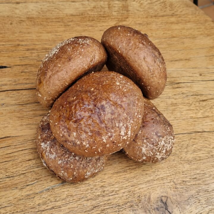 Mogolla integral panela X 5